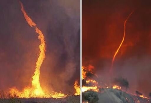 fenomeno-remolino-fuego.jpg